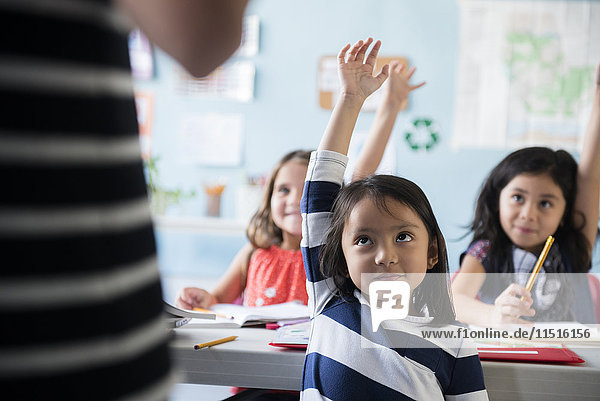 Mädchen heben die Hand für den Lehrer im Klassenzimmer