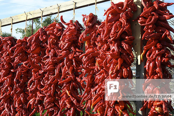 Dried red peppers hanging outdoors