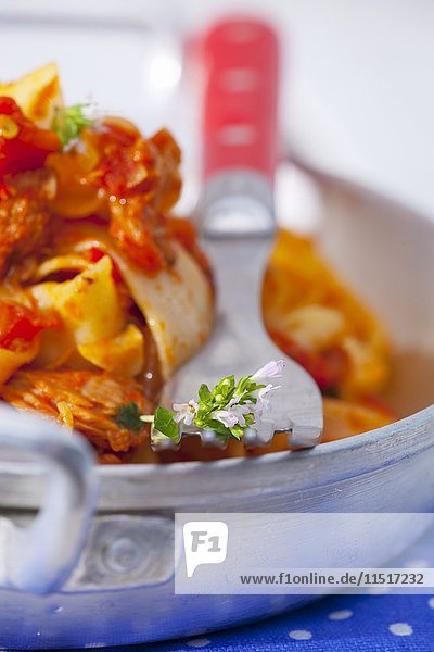 Pappardelle mit einer Sauce aus Tomaten  Zwiebeln  Knoblauch  Oregano und Thunfisch
