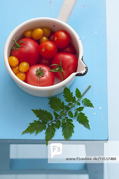 Kochen mit Tomaten