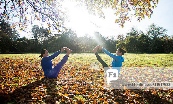 Zwei Frauen machen am Herbsttag Yoga im Park
