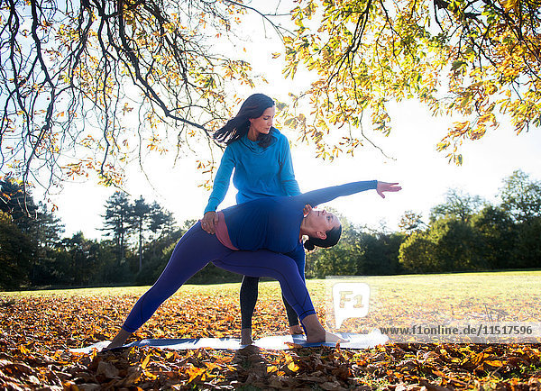 Zwei Frauen machen am Herbsttag Yoga im Park