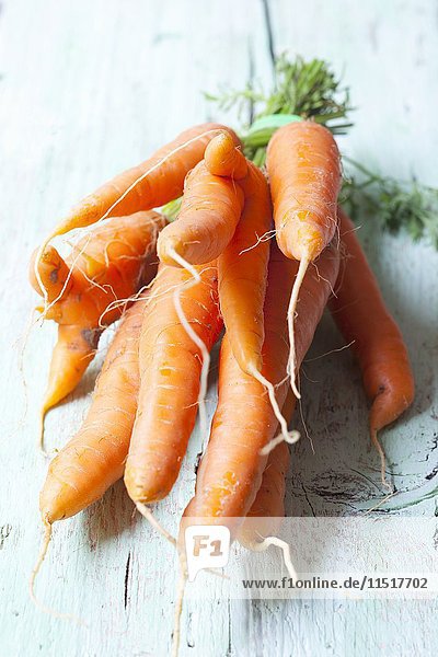 Bündel Karotten
