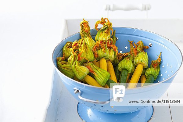 Grüne und gelbe Zucchini mit Blüten in blauem Emaille-Standsieb