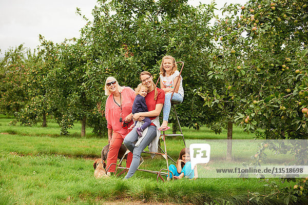 Familie auf Trittleiter im Apfelgarten