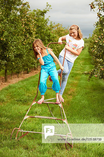 Girls on step ladder in apple orchard