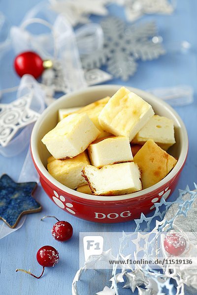 Cheesecake for dog for Christmas