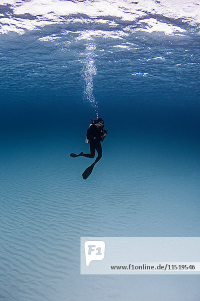 Portrait of diver  underwater view