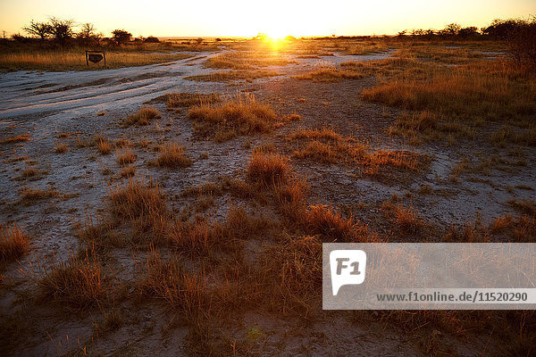 Sonnenuntergang über flacher Landschaft  Namibia  Afrika