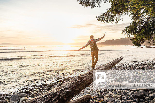 Man balancing on driftwood log on beach in Juan de Fuca Provincial Park Vancouver Island British Columbia Canada