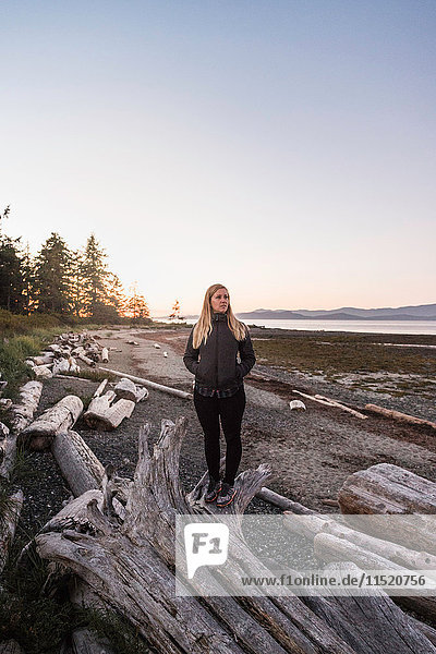 Frau  die vom Treibholzstamm im Rathrevor Beach Provincial Park auf Vancouver Island  British Columbia  Kanada  blickt