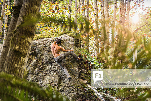 Male boulderer moving up forest boulder Horne Lake Caves Provincial Park Vancouver Island British Columbia Canada