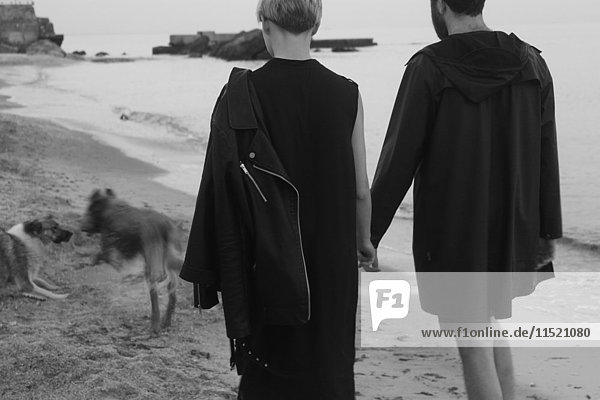 Junges Paar geht Hand in Hand am Strand entlang  zwei Hunde laufen voraus  Rückansicht