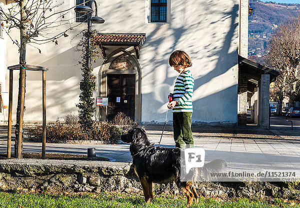 Junge spielt mit seinem besten Freund  seinem Haushund