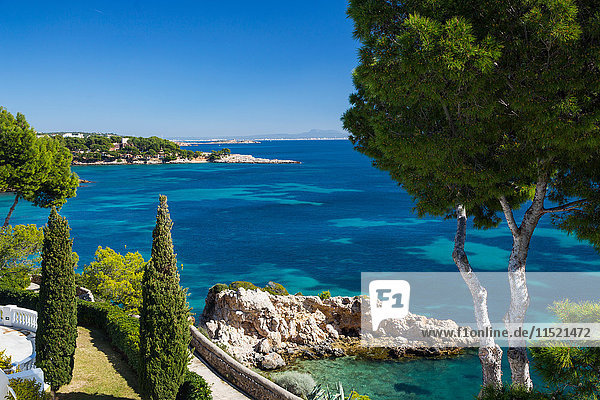 Erhöhte Ansicht der Küstenlinie und des blauen Meeres  Calvia  Mallorca  Spanien