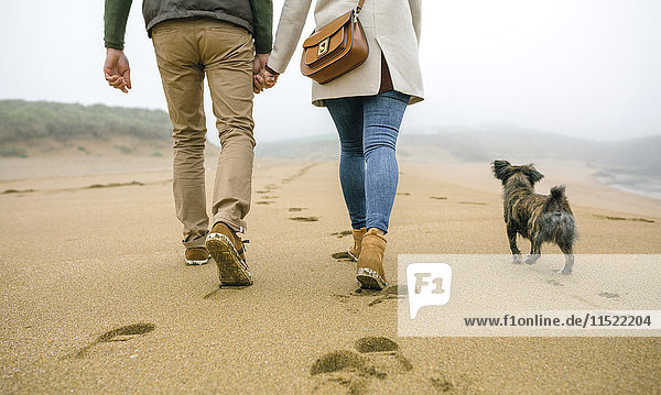 Niedriger Abschnitt des Paares  das im Winter mit Hund am Strand spazieren geht.