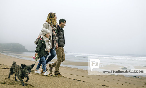 Familienwanderung mit Hund am Strand an einem nebligen Wintertag