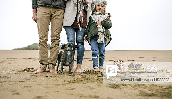Niedriger Familienteil mit barfuß am Strand stehendem Hund