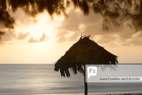 Tansania  Insel Sansibar  Sonnenaufgang mit Sonnenschirm
