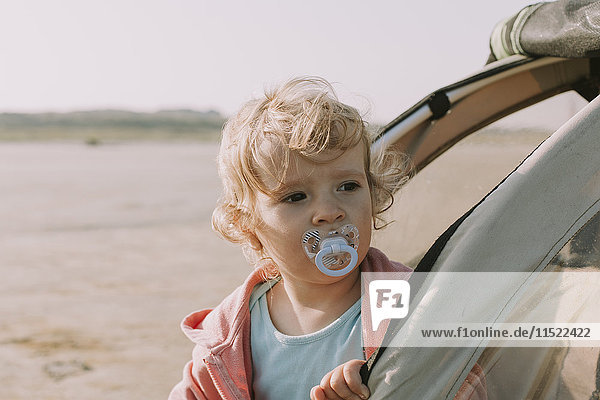 Niederlande  Schiermonnikoog  kleines Mädchen mit Blick aus dem Fahrradanhänger am Strand