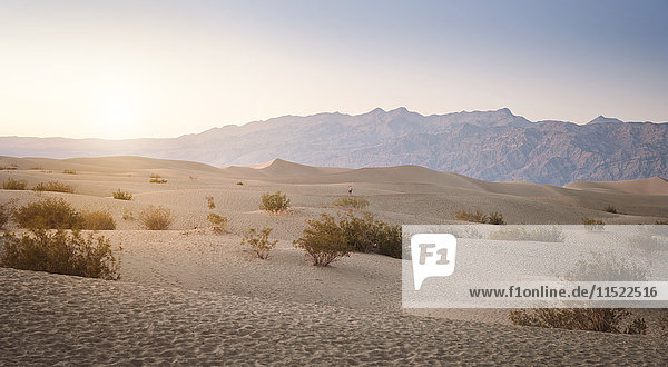 USA  Kalifornien  Death Valley Nationalpark  Dünen bei Sonnenuntergang