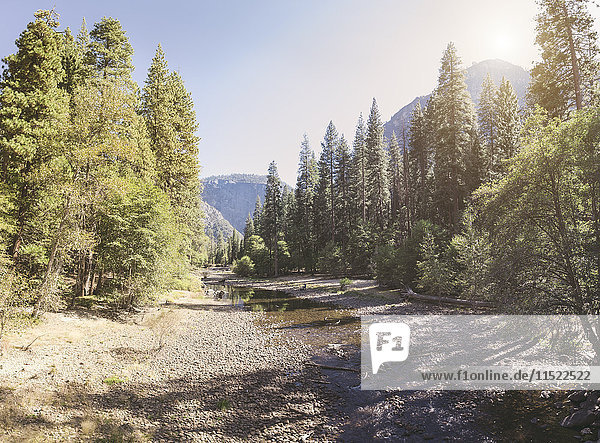 USA  Kalifornien  Yosemite Nationalpark  malerisch