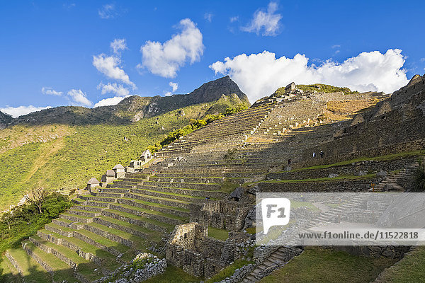 Peru  Andes  Urubamba Valley  Machu Picchu  terraces with mountain Machu Picchu