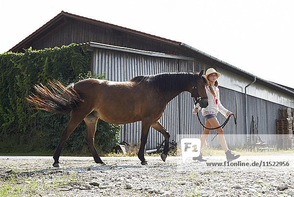 Spaziergang mit Pferd auf dem Bauernhof
