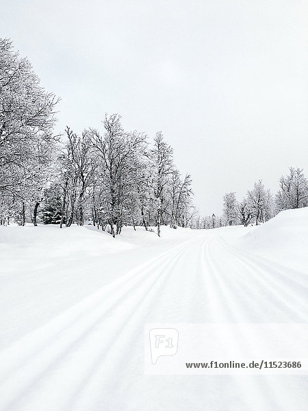Norwegen  Oppland  schneebedeckte Langlaufloipe in Winterlandschaft