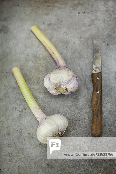 Two fresh garlic bulbs and kitchen knife on metal