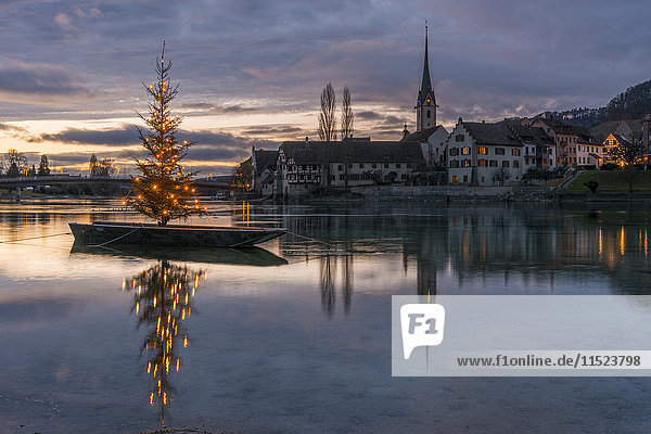 Schweiz  Kanton Schaffhausen  Stein am Rhein  Weihnachtsbaum am Rhein