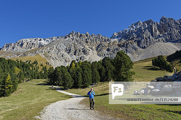 Italien  Südtirol  Latemar  Wanderer auf dem Latemar Natura Pfad