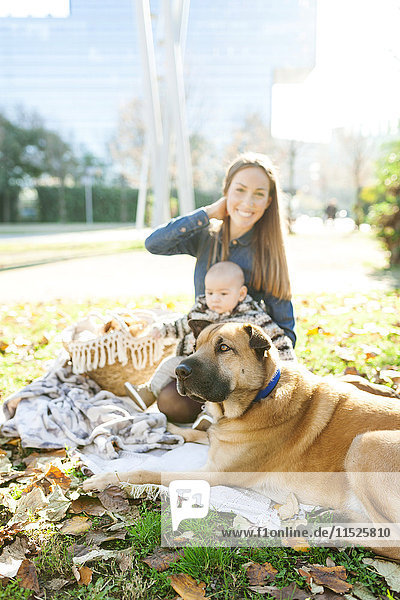 Glückliche Frau mit Baby und Hund im Park