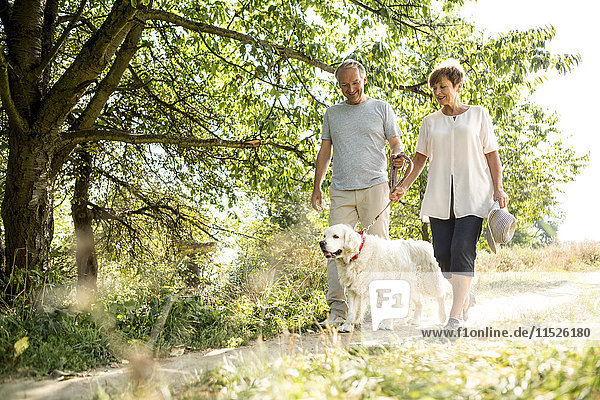 Senior couple going walkies with dog