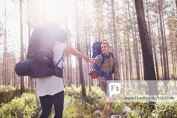 Junger Mann hilft Freundin auf Wanderweg in sonnigen Wäldern
