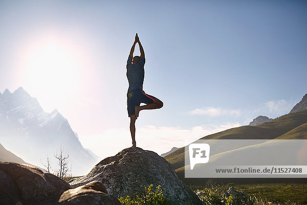 Young man balancing in tree pose on rock in sunny  remote valley
