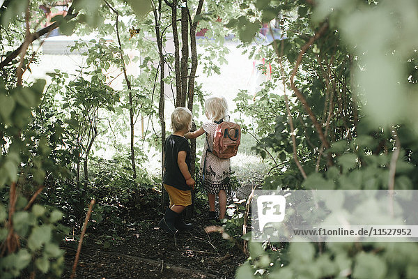 Children walking through woods