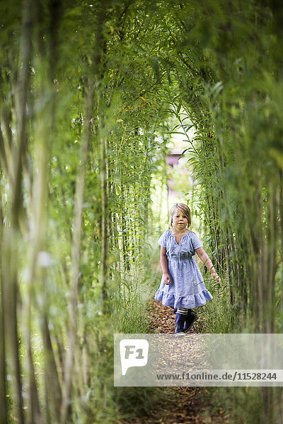 Girl walking among trees