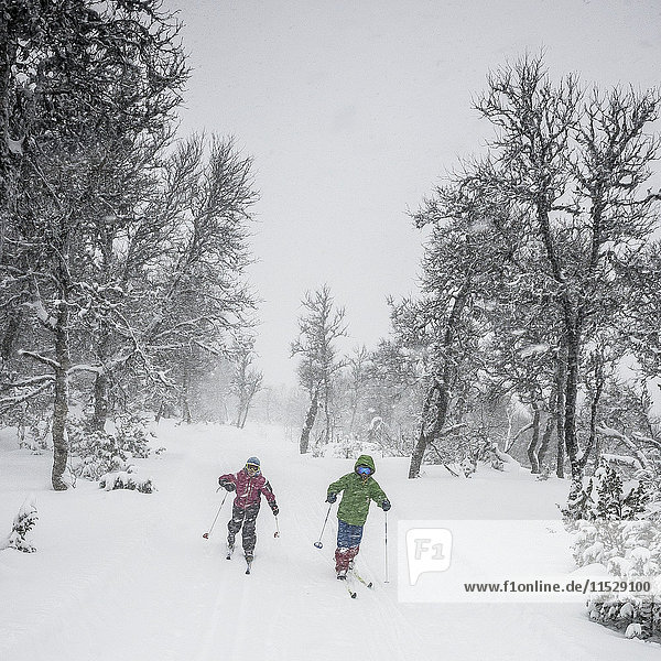 Two people snowshoeing in forest