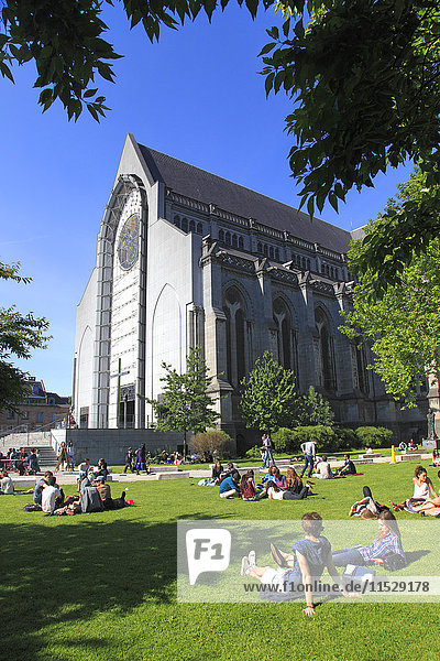 France  North-Eastern France  Lille  people sitting on the grass in front of Notre-Dame-de-la-Treille Cathedral  build in a neogothic style