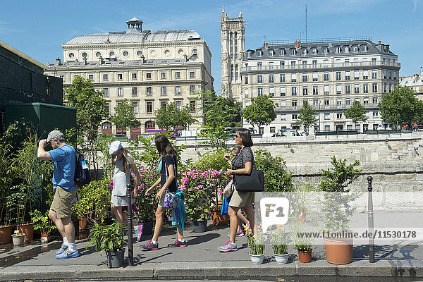 Frankreich. Paris (75)  4. Arrondissement. Ile de la Cite  Quai de Corse  Blumenmarkt umbenannt in'Marche aux fleurs Reine Elisabeth II' am 7. Juni 2014. die'Tour Saint Jacques' im Hintergrund.