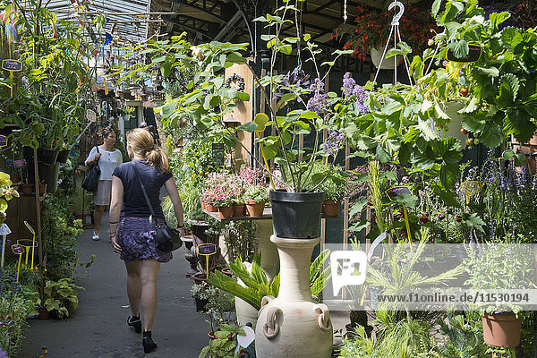 France. Paris (75)  4th arrondissement. Ile de la Cite  Place Louis Lepine  Flower market renamed 'Marche aux fleurs Reine Elisabeth II' on June 7th  2014.