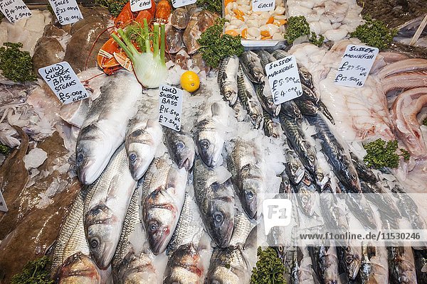 England  London  Southwark  Borough Market  Fish Stall  Display of Fresh Fish