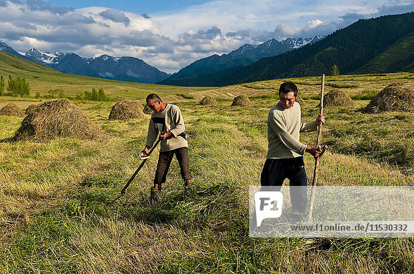 Kirgisistan  Issyk Kul Provinz (Ysyk-Kol)  unweit von Karakol  Kambarnea Adilet und Toboralov Kylych beim Grasmähen mit einer Sense.