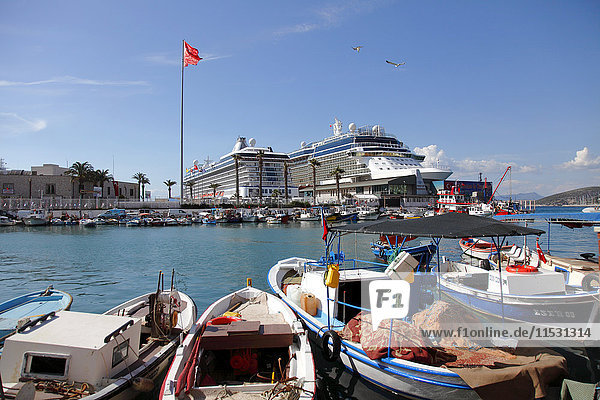 Turkey  province of Aydin  Kusadasi  fishing harbour and cruise ship