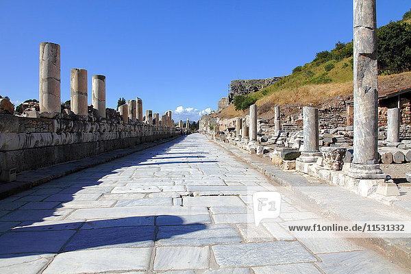 Turkey  province of Izmir  Selcuk  archeological site of Ephesus  Marble street