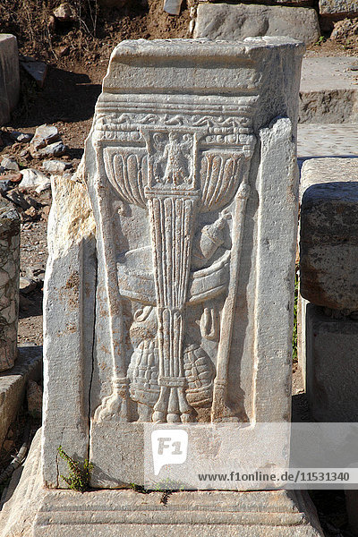 Türkei  Provinz Izmir  Selcuk  archäologische Stätte von Ephesus