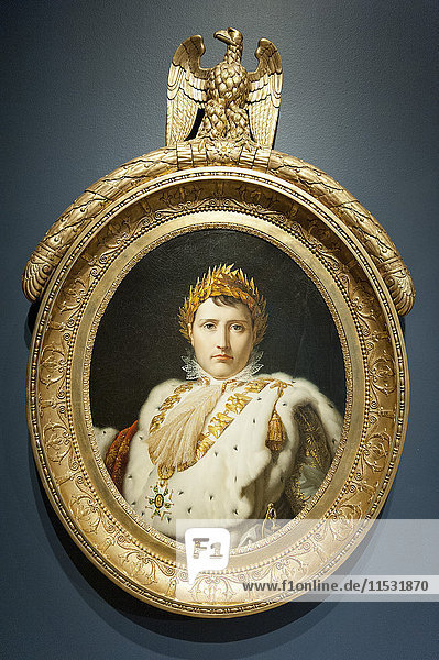 Canada. Province of Quebec. Montreal. The city center. Museum of Fine Arts. Portrait of Napoleon 1st in costume of coronation by Francois Gerard's studio (called Baron Gerard) (1805)