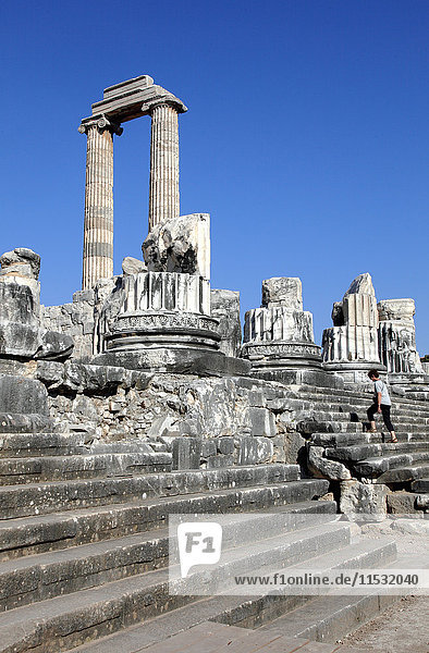 Turkey  province of Aydin  Didim  archaeological site of Dydimes  the Didymeion (Apollo temple)