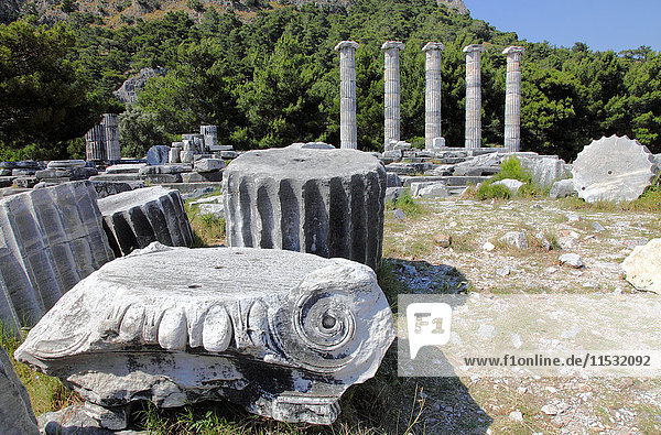Turkey  province of Aydin  Gullubahce village  Priene archeological site  Athena temple